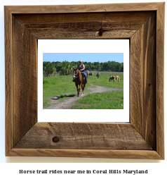 horse trail rides near me in Coral Hills, Maryland